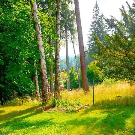 Cis Alojamento de Acomodação e Pequeno-almoço 3*